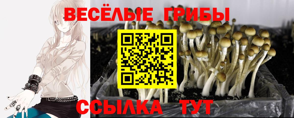 Керчь  Галлюциногенные грибы ЛСД  Вход с VPN 